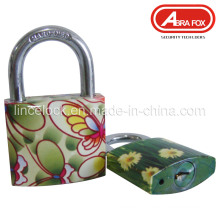 Padlock Steel, Padlock Iron Body Colour Design Padlock (804)